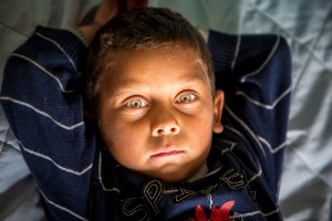 Élysée, le petit frère de Ramona, la star de l'affiche de l'expo.